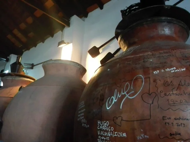 wine tours portugal