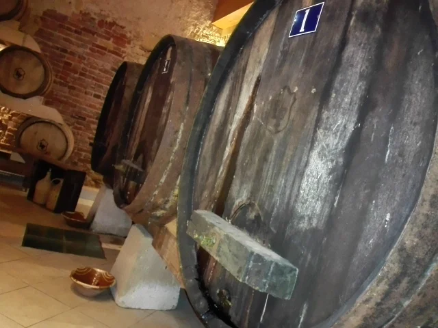 wine tours portugal