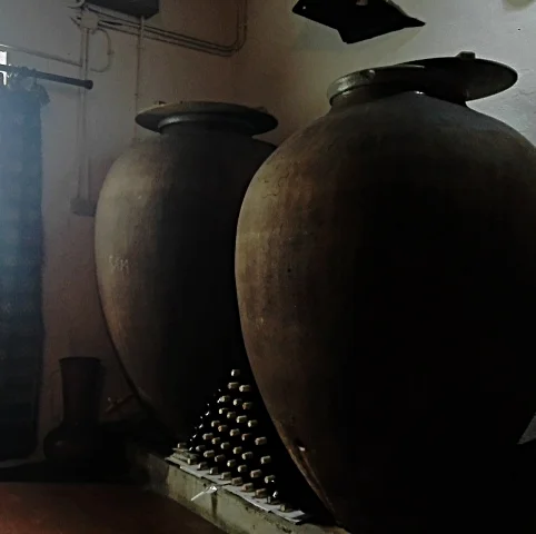 wine tours portugal