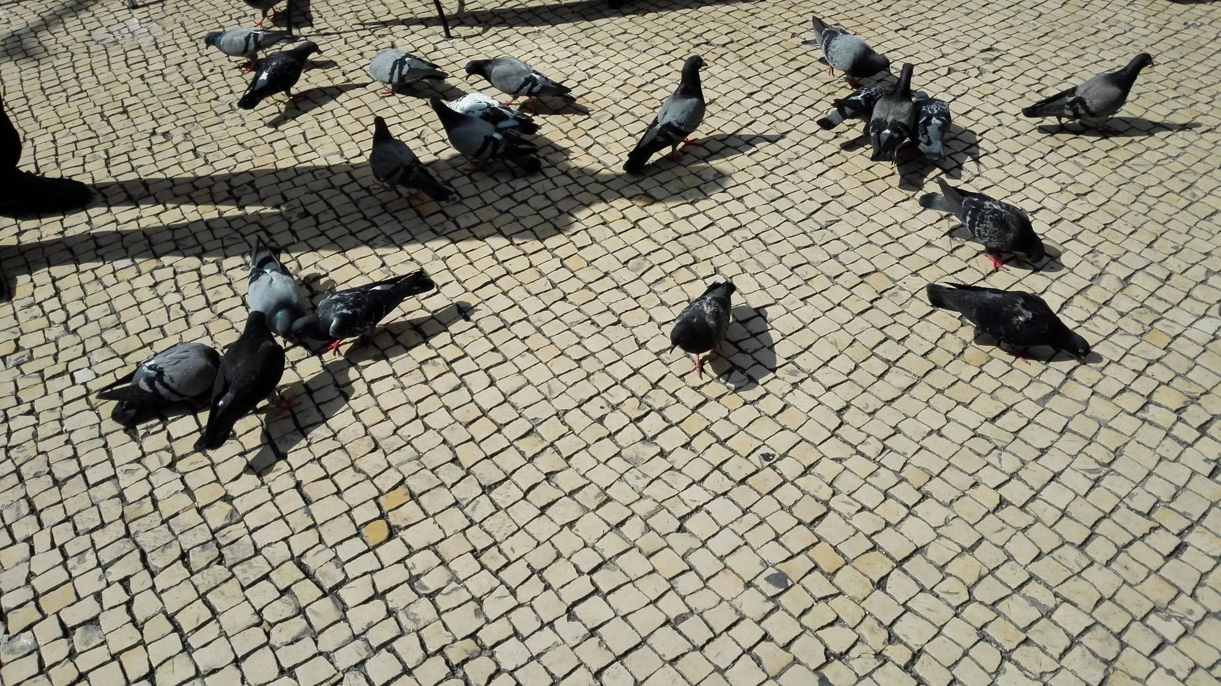 IMG_20150416_155543 - Cópia.jpg