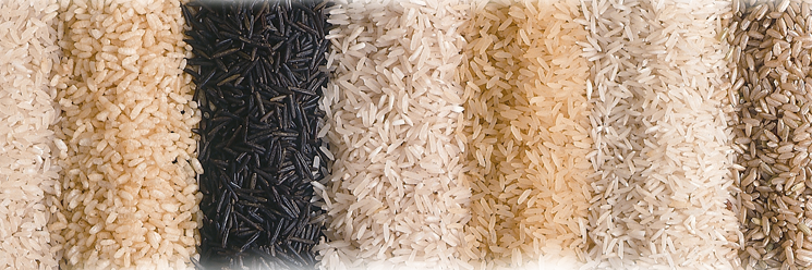 home_intro-e1320855932605.png