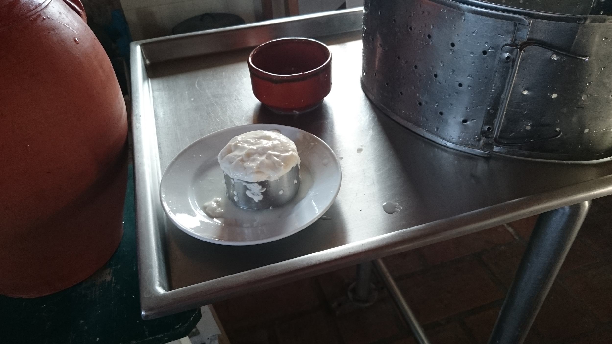 DSC_1323_1.jpeg
