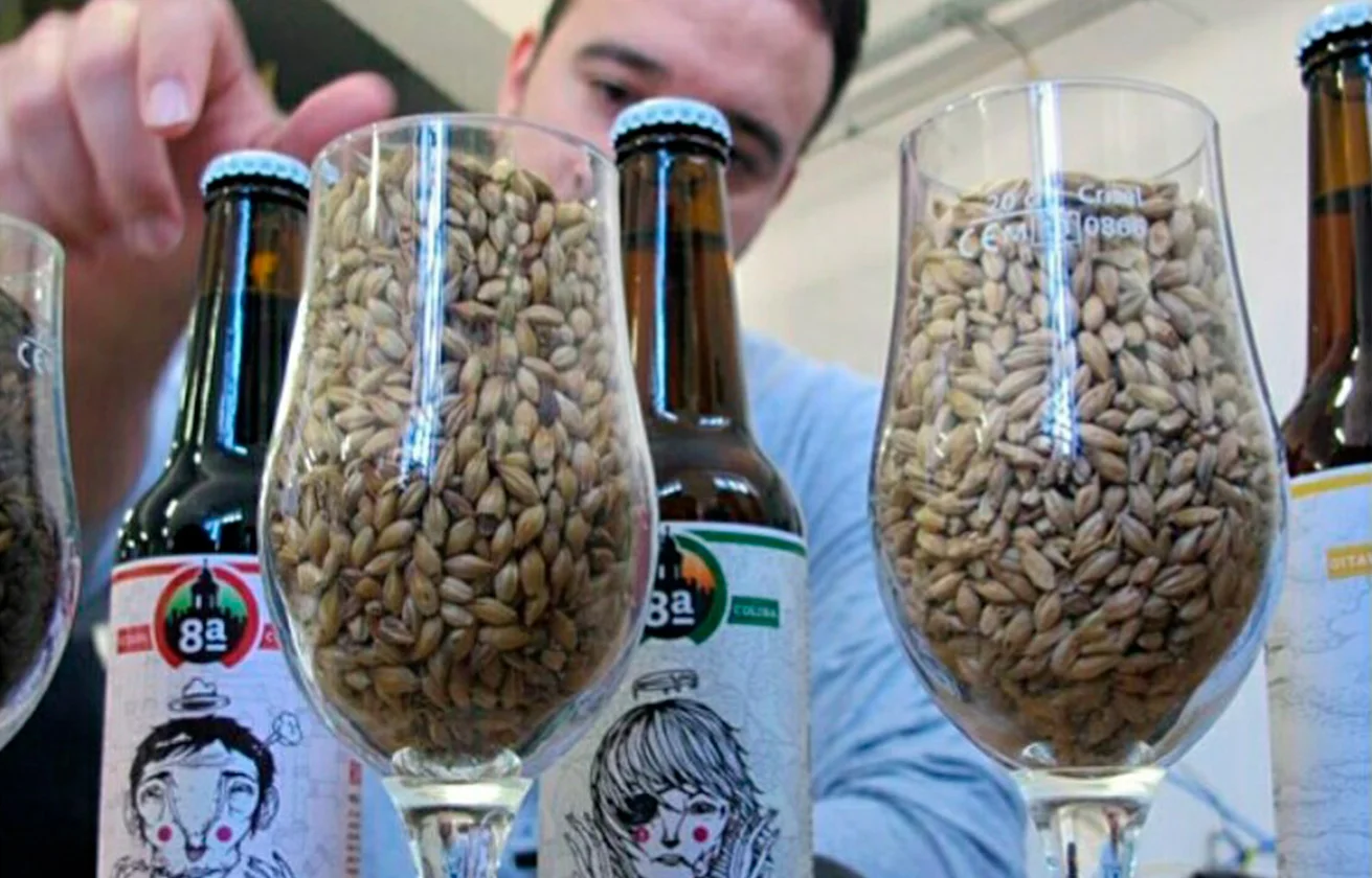 singulartrips-CRAFT-BEER.jpg