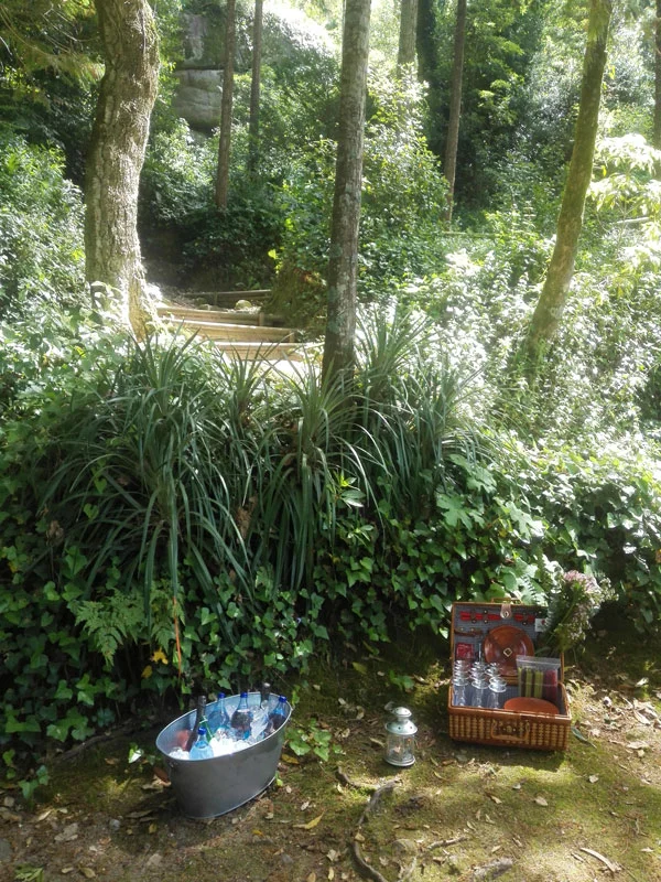 singulartrips-PICNIC-EXPERIENCE02.jpg