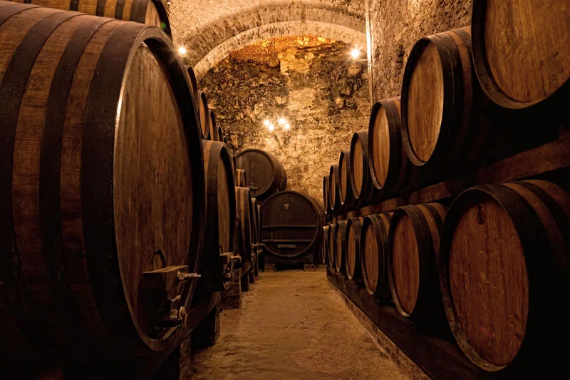 singulartrips-WINE-LOVERS-PORTO02.jpg
