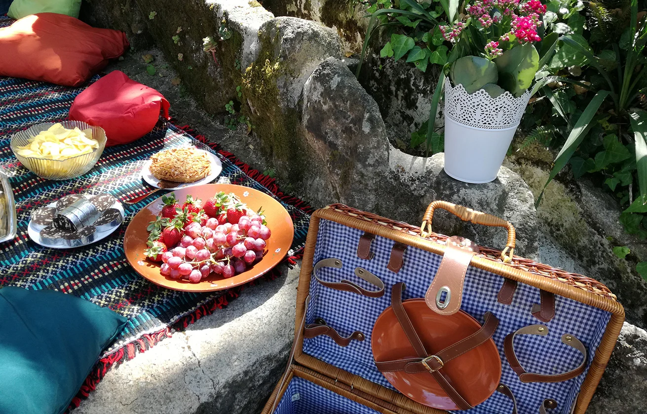 singulartrips-PICNIC-EXPERIENCES.jpg