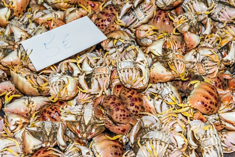 singulartrips-ALGARVE-TASTE-SELECTION-TOUR02.jpg