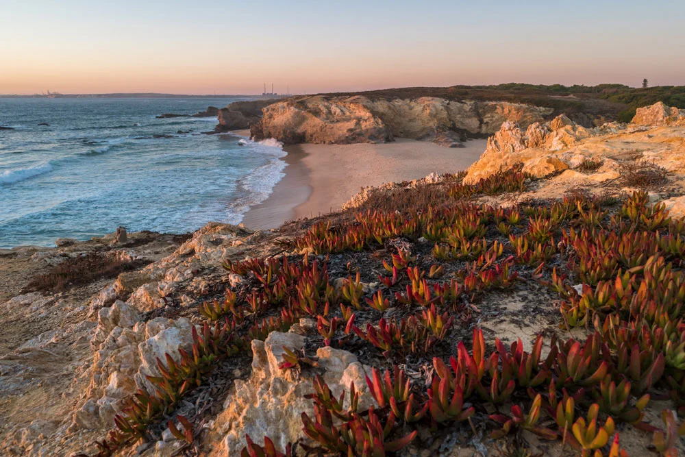 singulartrips-CAPE-TO-CAPE-ROAD-268-04.jpg