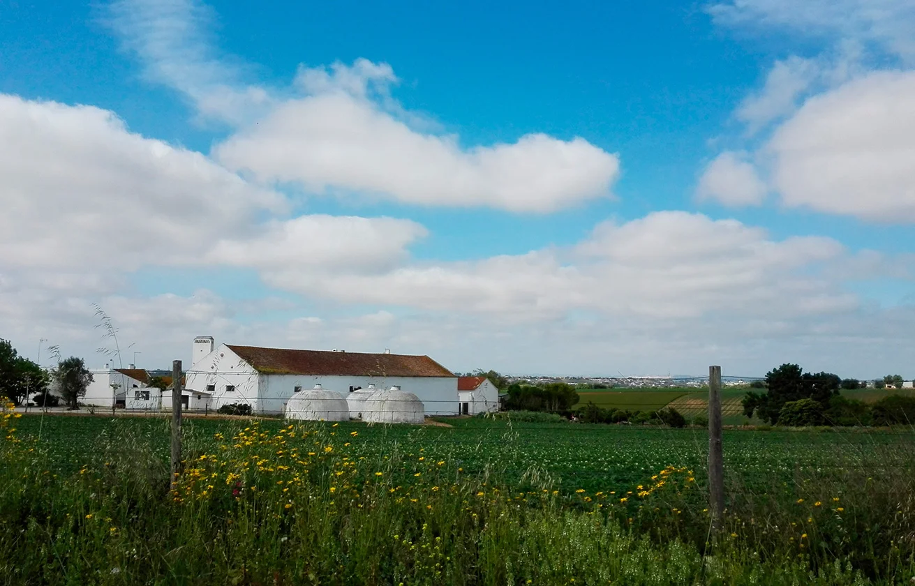 singulartrips-FARM-EXPERIENCES.jpg