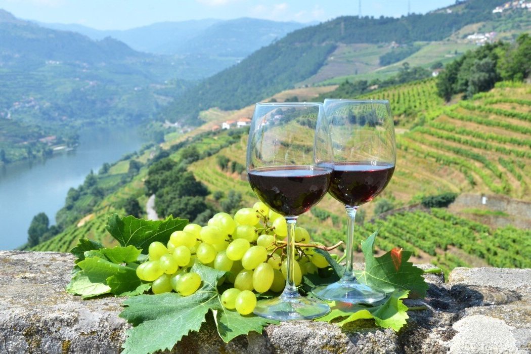 Douro &amp; Port Wines