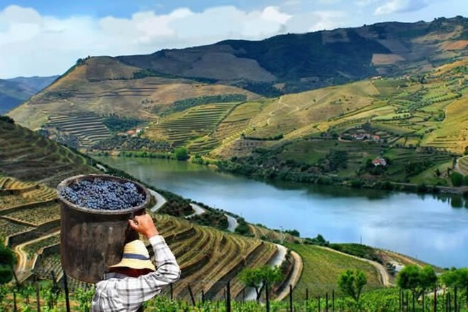 Douro Valley landescape