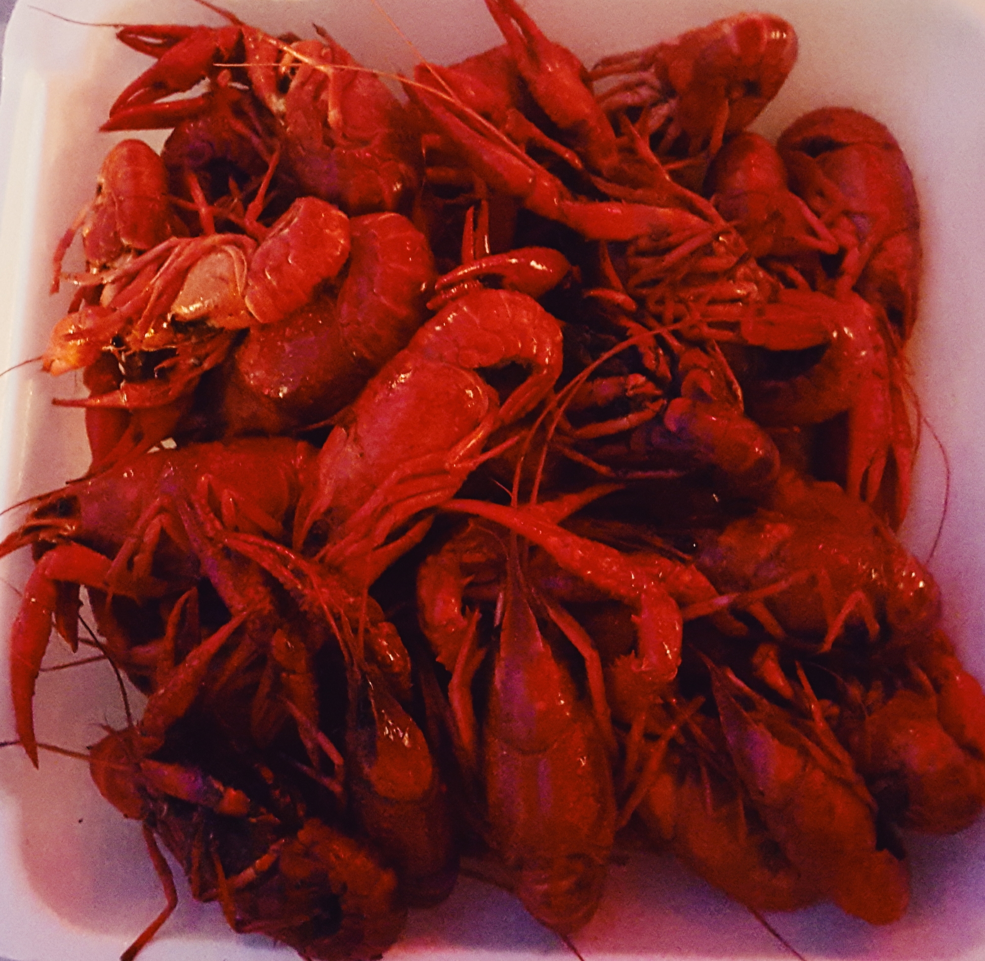 2015-05-26 08.18.17 2.jpg