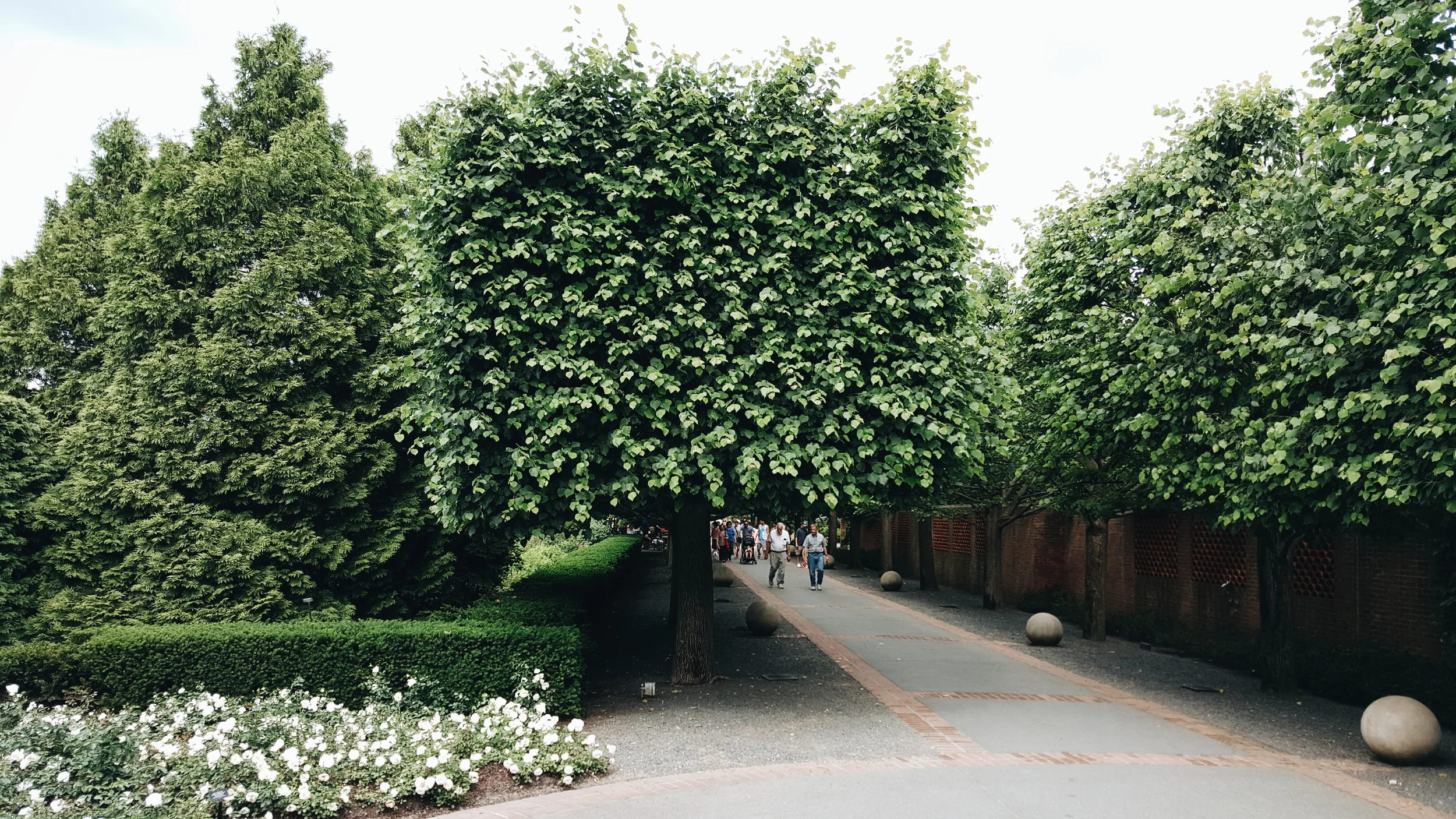 2015-06-22 09.19.05 1.jpg