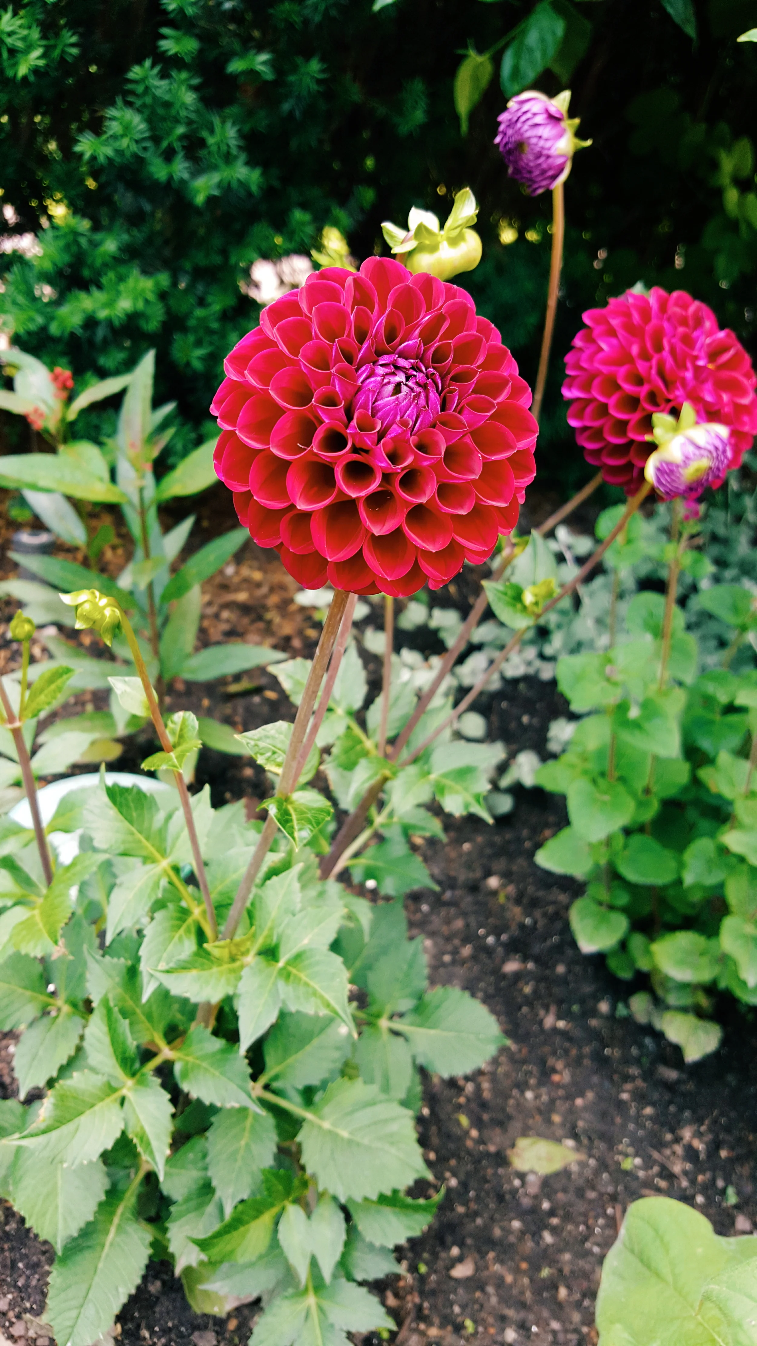 2015-06-22 09.19.24 1.jpg