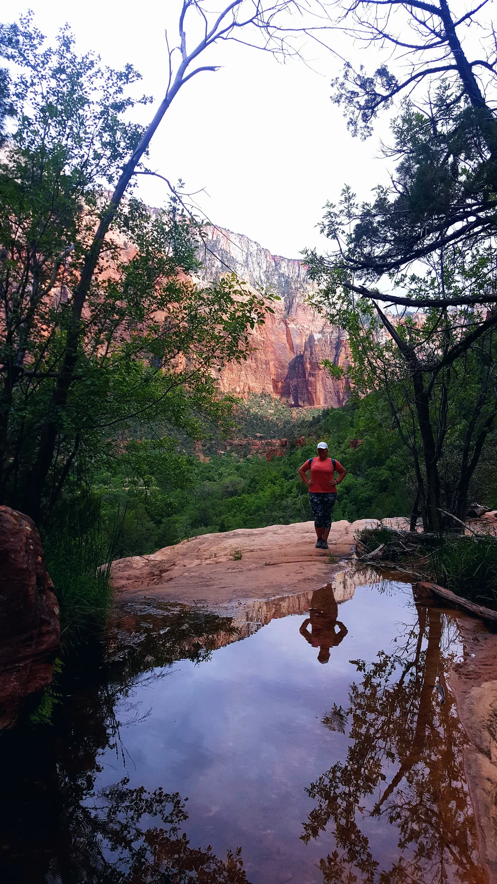 2016-06-01 08.46.04 1.jpg