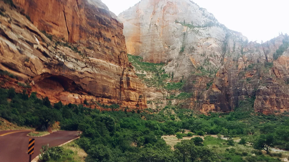 2016-06-01 08.51.53 1.jpg