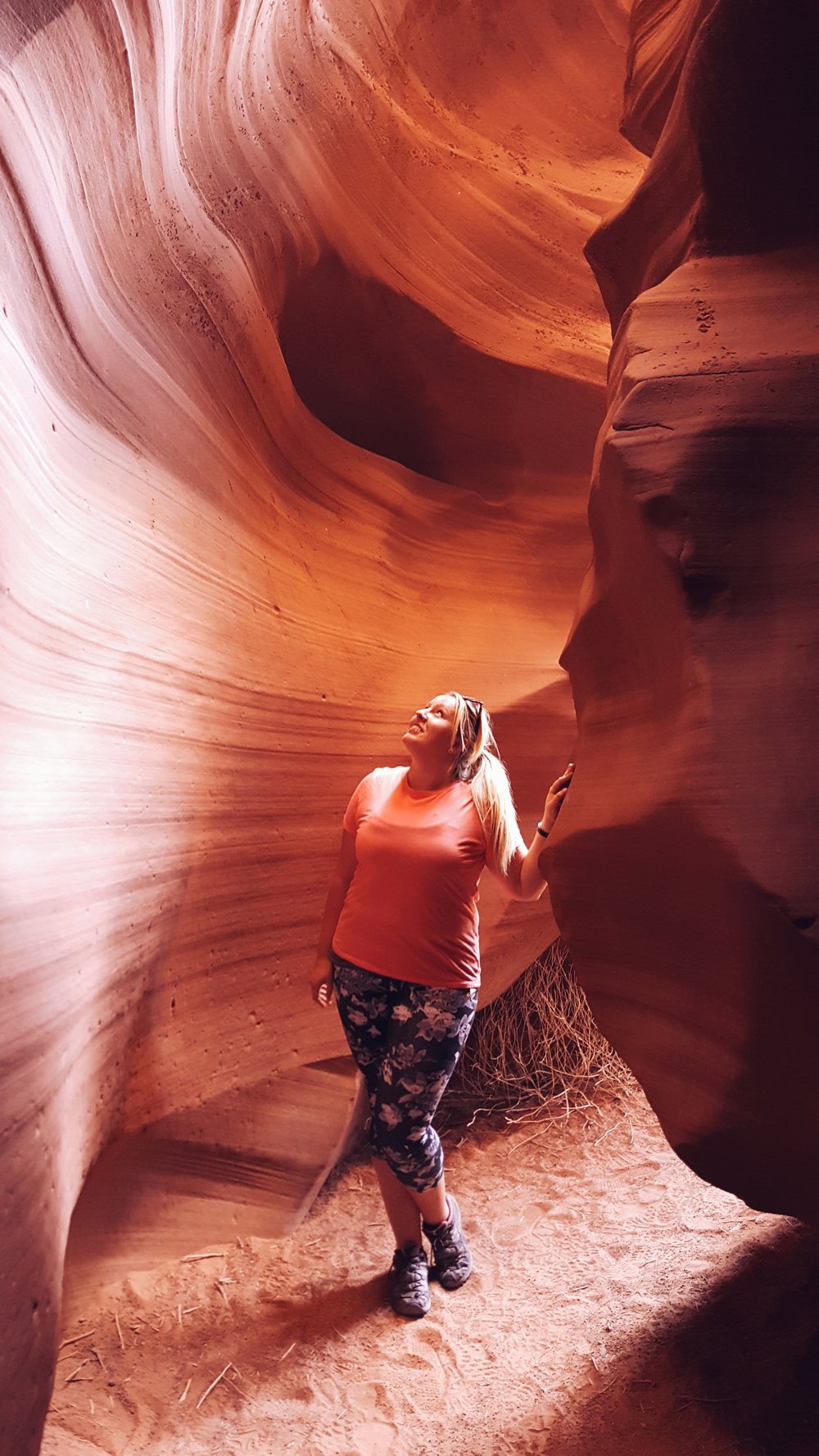 2016-06-08 06.57.19 1.jpg