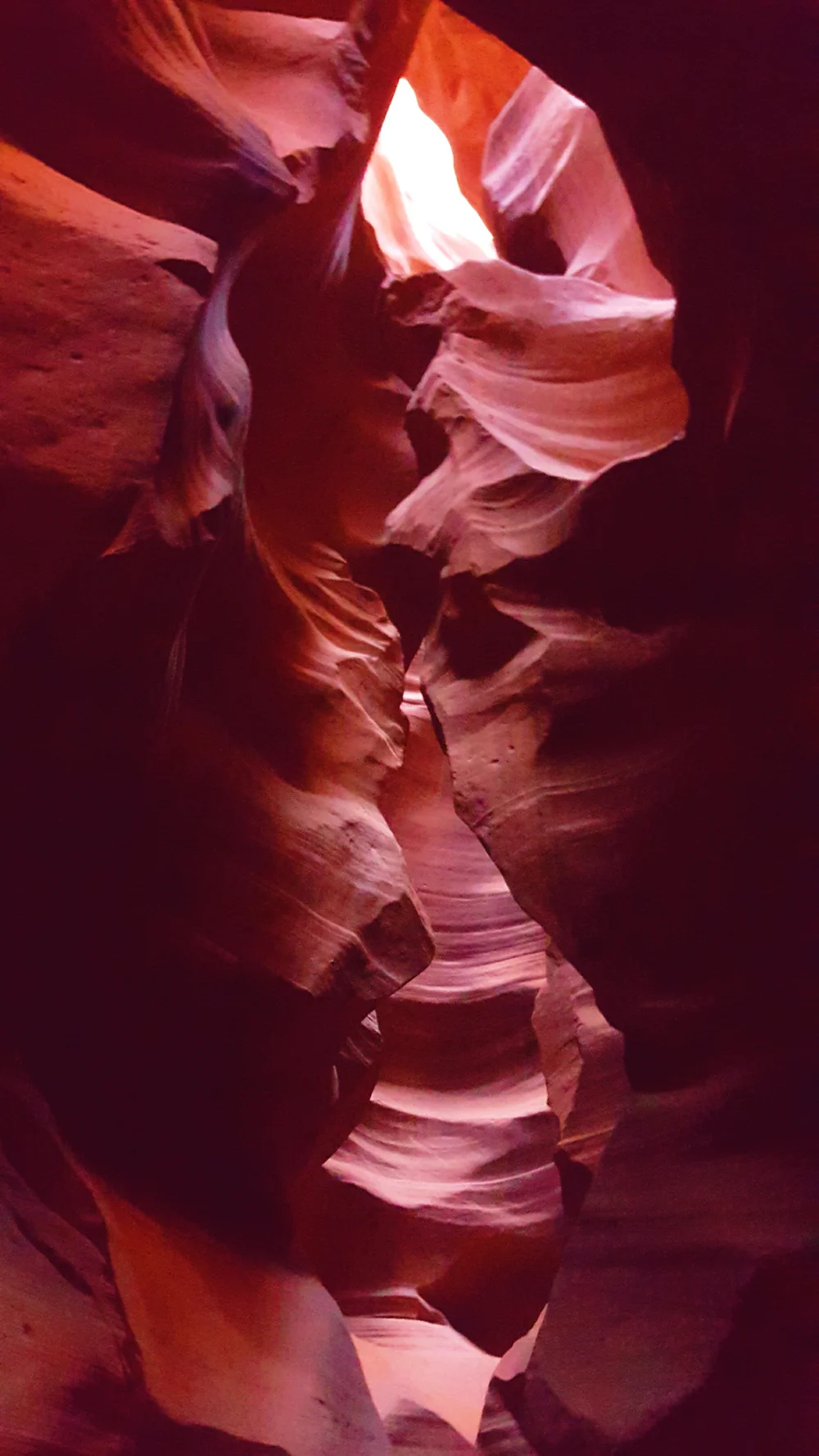 2016-06-08 06.49.36 1.jpg