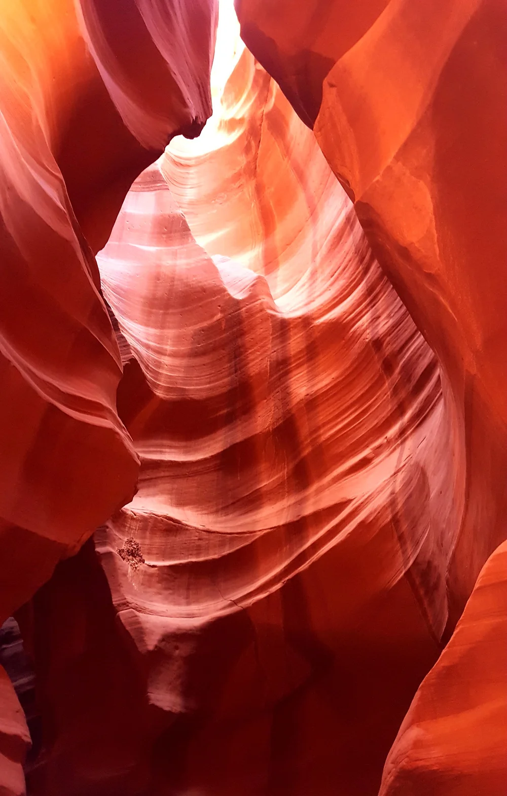 2016-06-08 06.41.26 1.jpg