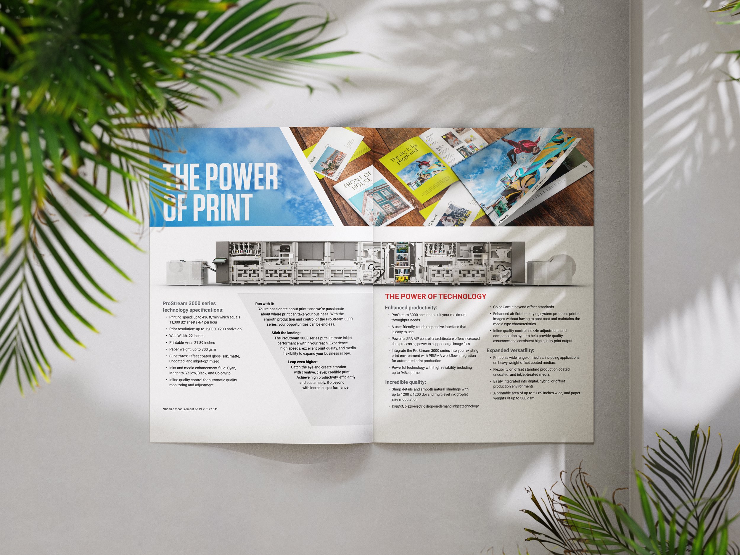 Free_A4_Brochure_Mockup_4 copy.jpg