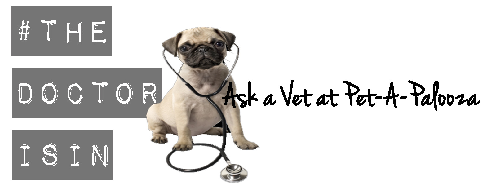 Vets to Go is our official festival vet on site! Stop by their booth and say HI! to Dr. Wendy McClelland, DVM. She will be on site all day Sunday July 24th to answer all your canine questions! 
