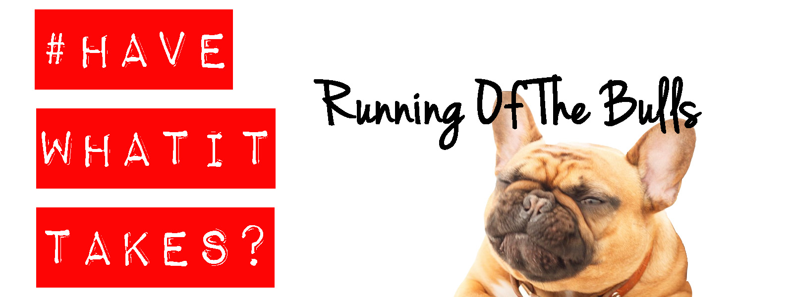 Join us on Sunday August 28th and watch the Bulls battle it out to see who reigns supreme! English Race Starts at 1:00 and French Race Starts at 2:30 (on site registration at 12:00 at the barking babies Booth)