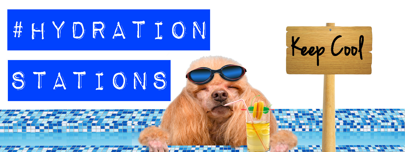 There will be cool down stations throughout the property to make sure fido is kept cool as a cucumber during the day