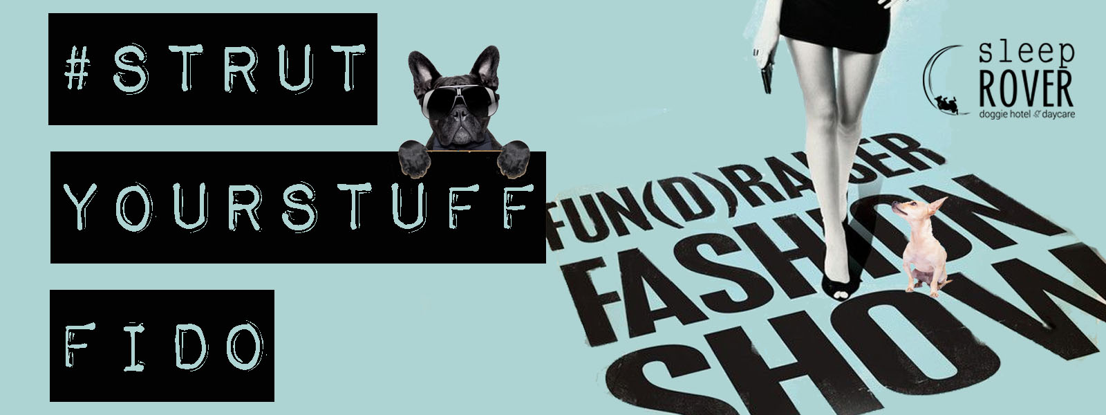 Check out all the latest Doggie Styles at the Pet-A-Palooza™ fashion show! Join us in North Plaza at Eau Claire on Saturday July 23rd, 2016 - strutting their stuff will be dogs available for adoption through JLA Society S.V.U, Heaven Can Wait and Pause For Change.