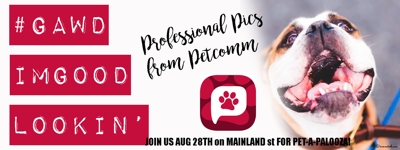 Visit the PetComm Booth to get a professional pic for your dogs profile on PetComm the newest and best app for any pet owner
