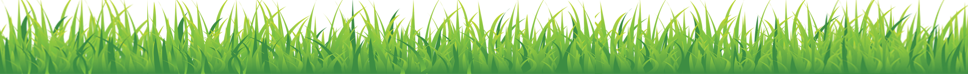 Grass-for-Sprout.png