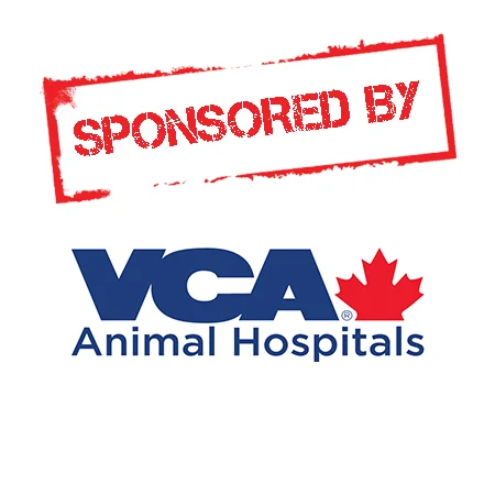 SPONSORED BY VCA.jpg