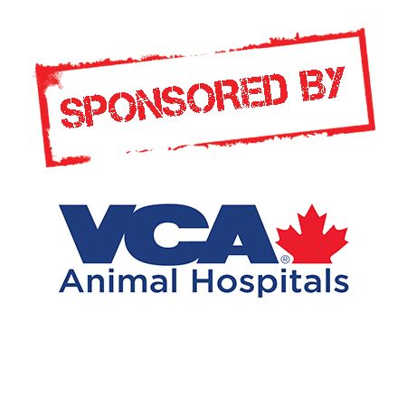 SPONSORED BY VCA.jpg