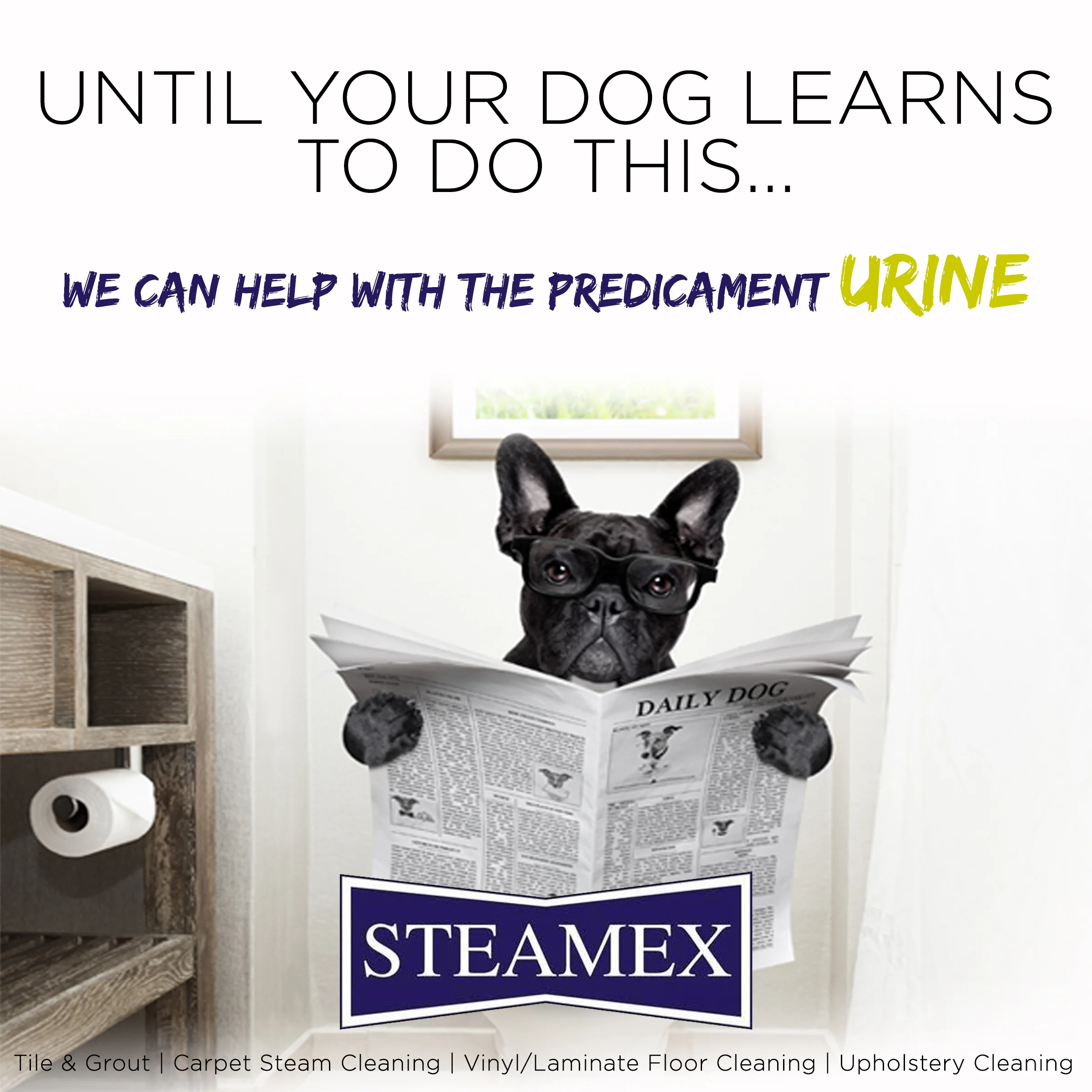STEAMEX.jpg