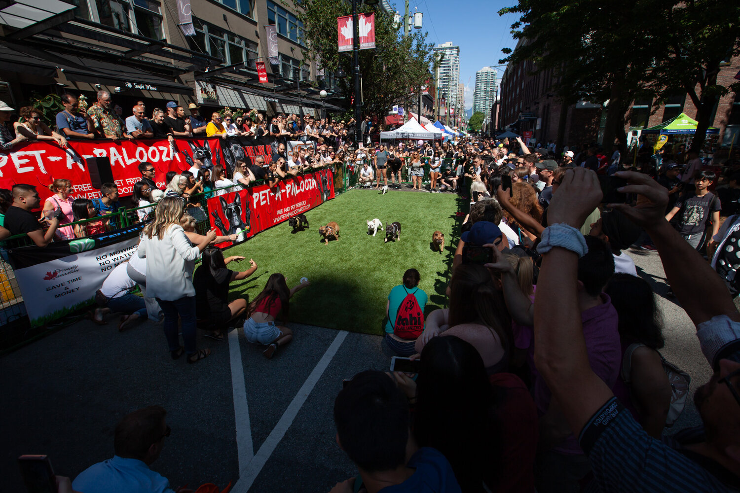 140-Pet-A-Palooza-Vancouver-2019.jpg