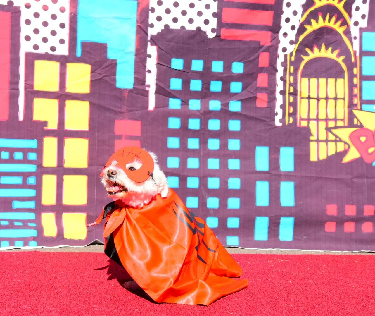 DSC_0228.JPG