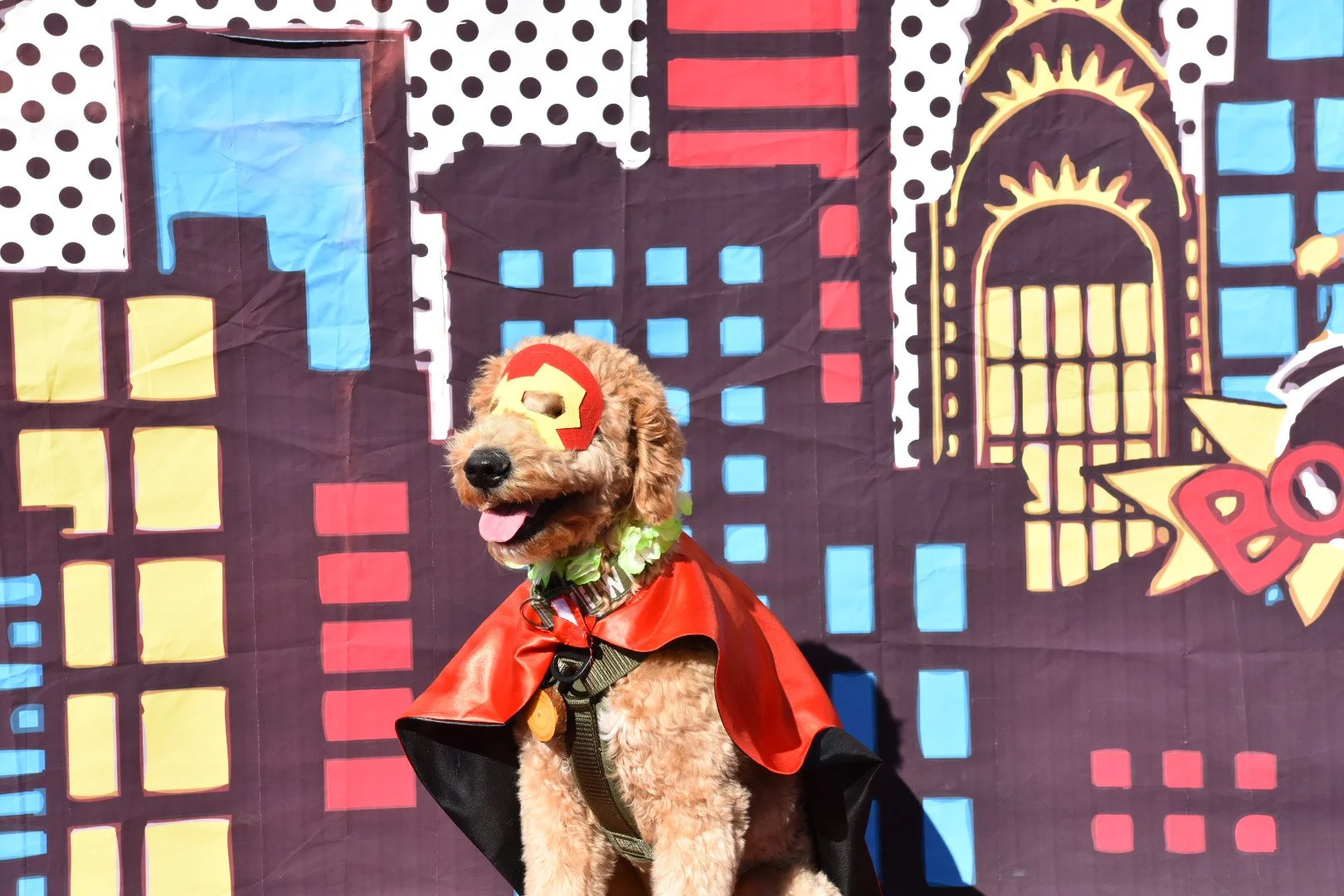 DSC_0624.JPG