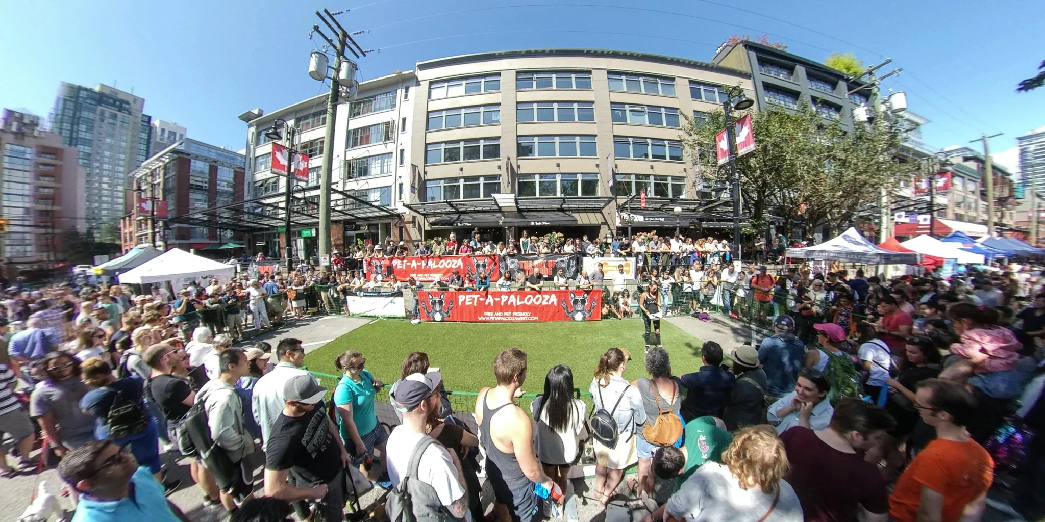 1008-Post-Pet-A-Palooza-Vancouver-2019-360.jpg