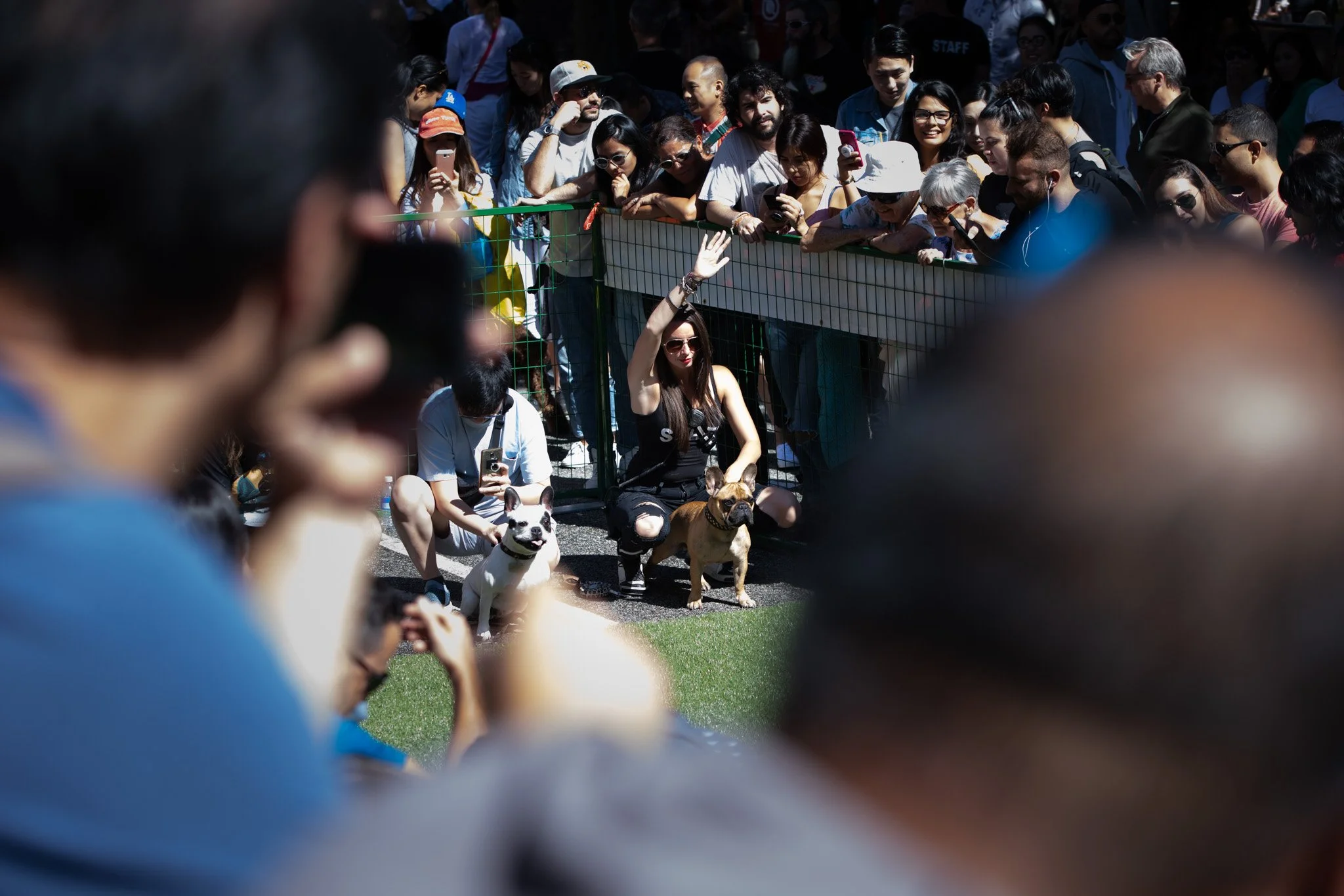 151-Pet-A-Palooza-Vancouver-2019.jpg