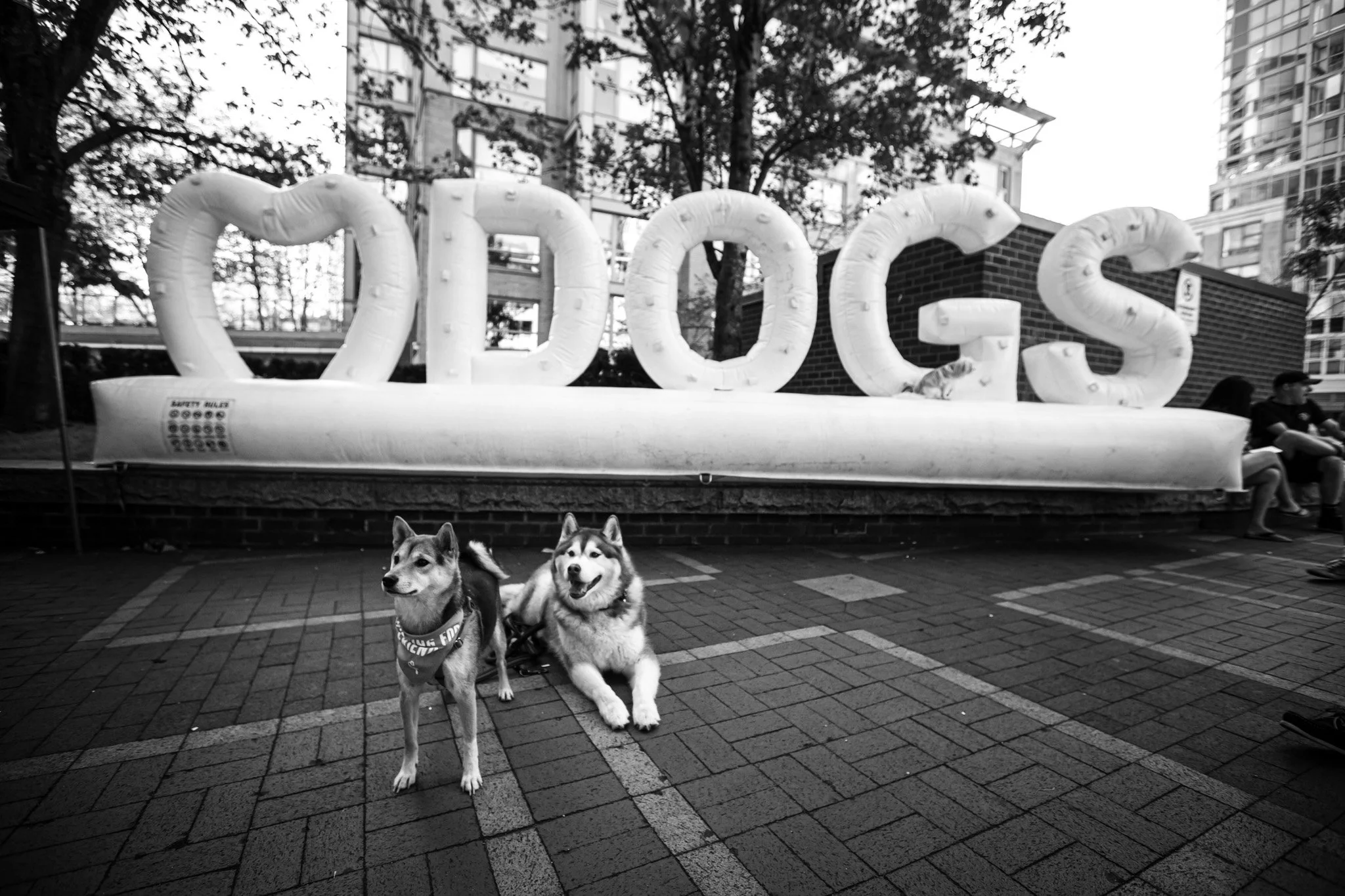 072-Pet-A-Palooza-Vancouver-2019.jpg