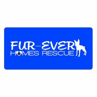 Fur Ever homes.jpg