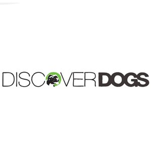 discover dogs.jpg