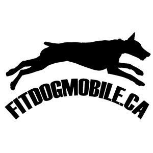 fitdog mobile.jpg