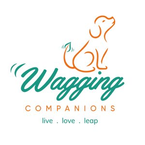 wagging companion.jpg