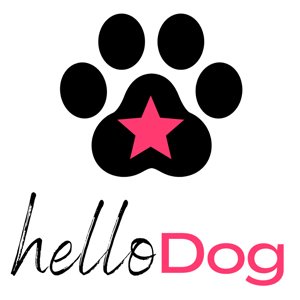 hello dog.jpg