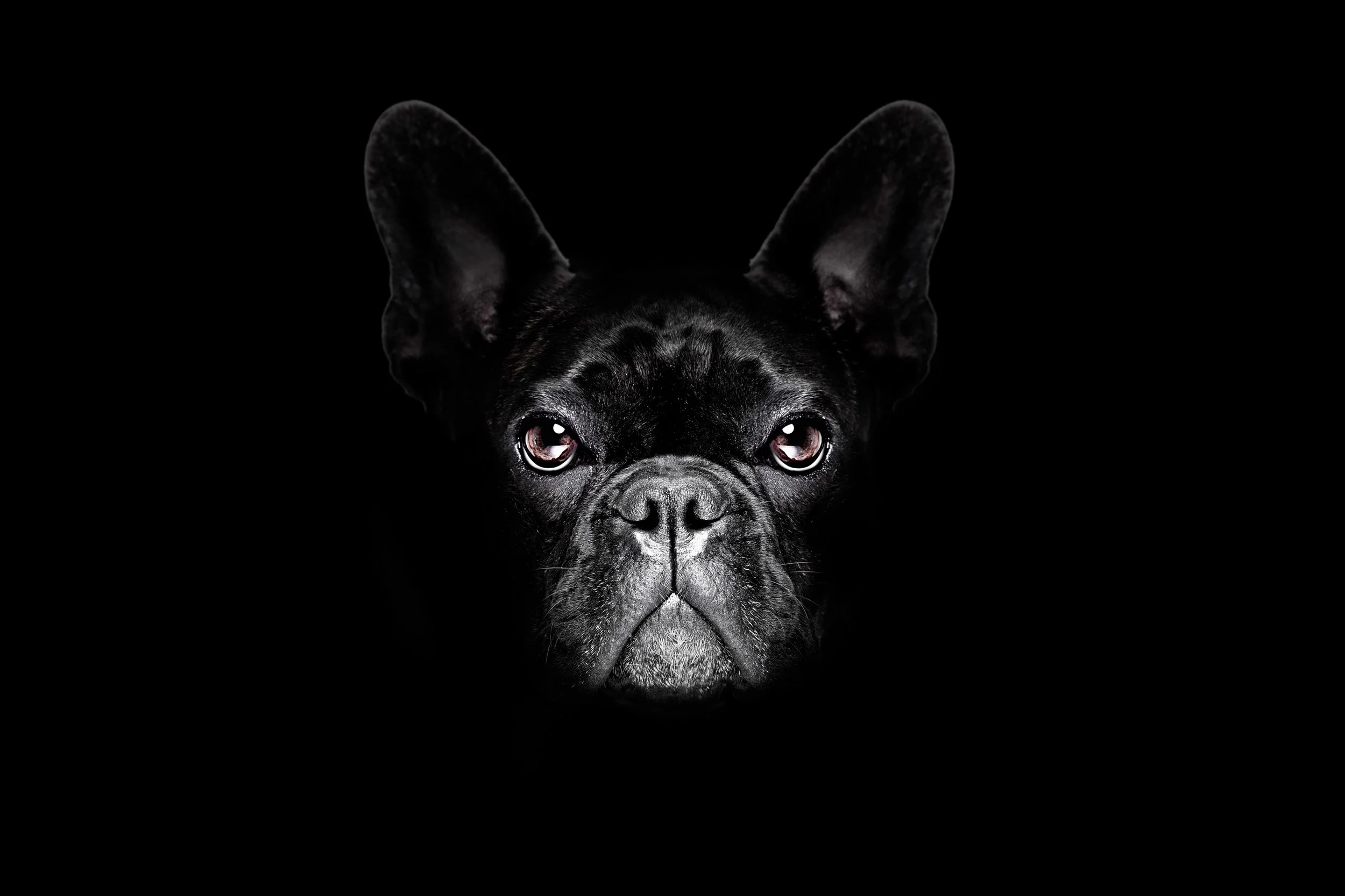 website front cover.jpg