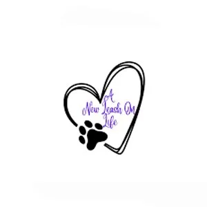 from stray to stay.jpg