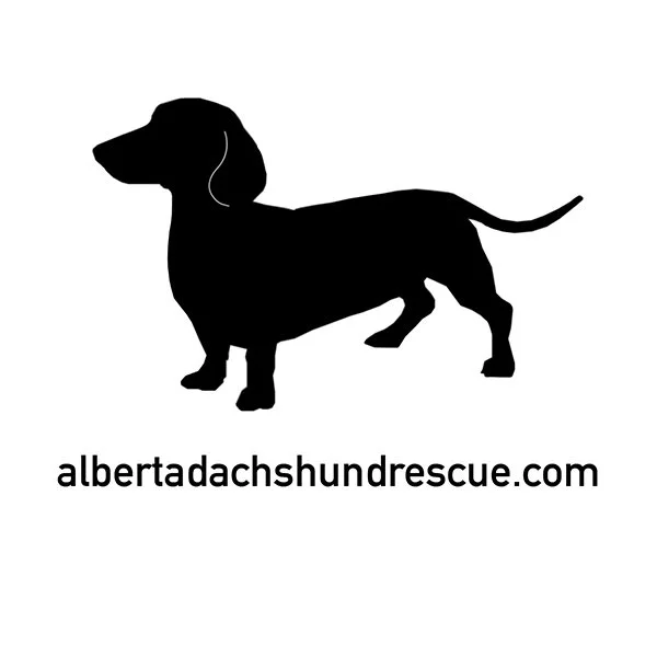 alberta daschound - Copy.jpg