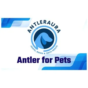 antlera.jpg
