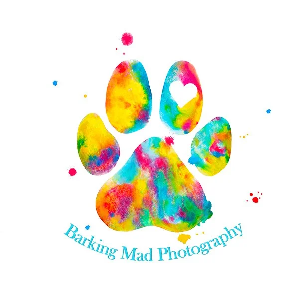 barking mad - Copy.jpg