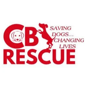 cb rescue.jpg